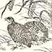 Shusui Shimokobe Gallery